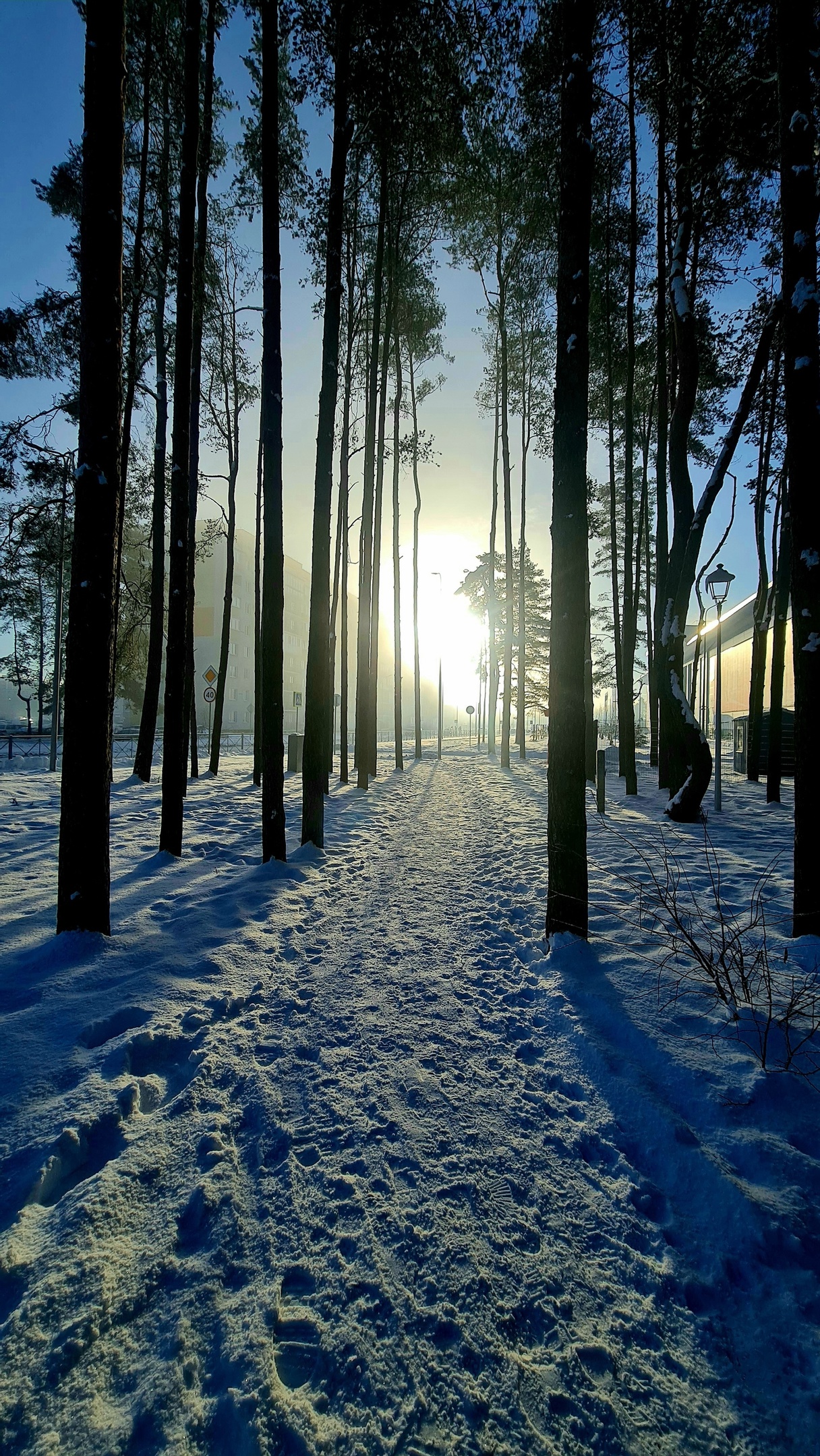 Маргарита